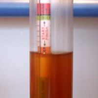 Reading the Hydrometer