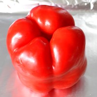 Red Capsicum ready for roasting