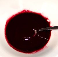 Berry Coulis