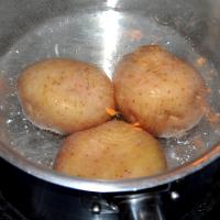 Boil the Potatoes