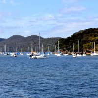 Boats in the marina